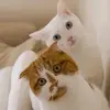 Profile Picture of FredericBertha😘 (@fredelnn2ih) on Tiktok