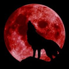 Profile Picture of Daniel Maysonet (@Bxdanny_Tiger) on Twitter