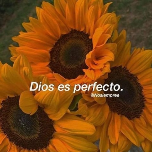 Profile Picture of Yary Yary (@yary_yary) on Poshmark