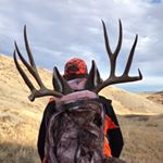 Profile Picture of Beau Daniels (@muleydeer) on Instagram