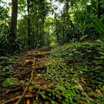 Profile Picture of Alex Broch (@Alex-Broch) on Facebook