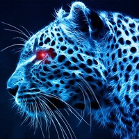 Daniel Valderrama - Quora Profile Picture of Daniel Valderrama (@daniel-valderrama-10) on Quora