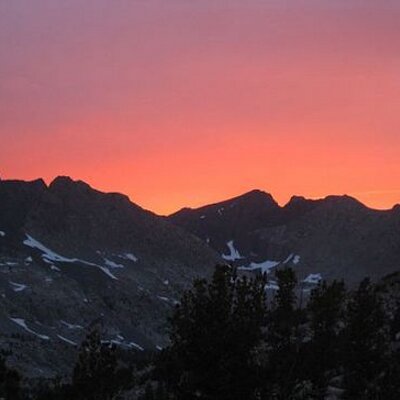 Profile Picture of Pedro Saez (@Drpsaez) on Twitter