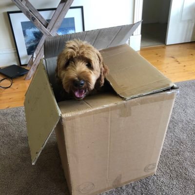 Profile Picture of Mike Grist (@mistgrike) on Twitter