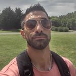 Profile Picture of Daisy (@gravagnadavid) on Instagram