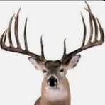 Profile Picture of Joseph Dowdy (@Joseph-Dowdy) on Facebook