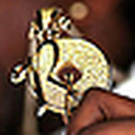 Profile Picture of Ravi Chauhan (@chauhan_20) on Flickr