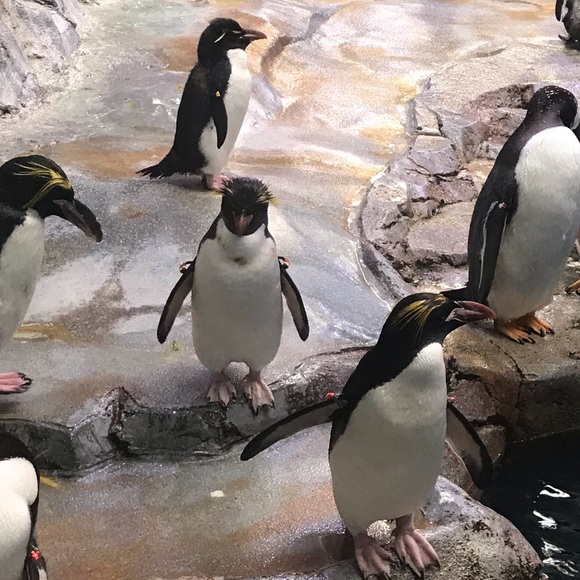 Profile Picture of Sarah Sobieck (@sms1326) on Poshmark