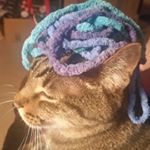 Profile Picture of Debbie Gau (@txmandy2019) on Instagram