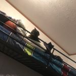 Profile Picture of Jared Goodrich (@goodrich_jared) on Instagram