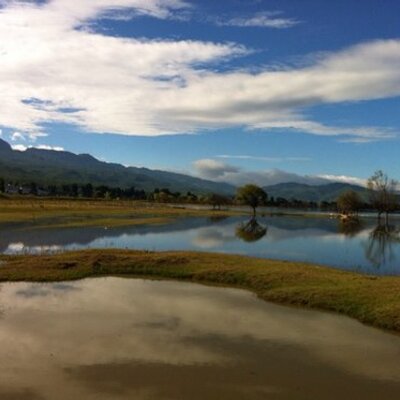 Profile Picture of Jun Duan (@duanj123) on Twitter