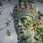 #paulocampos77 - Flickr Profile Picture of #paulocampos77 (@#paulocampos77) on Flickr