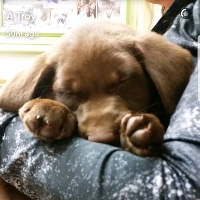 Sandi Mccormack - Twitter Profile Picture of Sandi Mccormack (@sandimccormack1) on Twitter