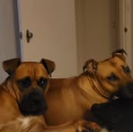 Profile Picture of Jason Hemmerling (@jason.hemmerling.9) on Facebook