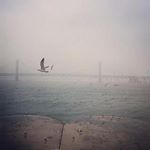 Profile Picture of fletcher_thomasa (@fletcher_thomasa) on Instagram