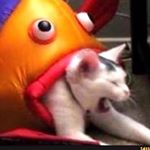 Profile Picture of Akeem Blake (@keemikeem) on Instagram