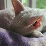 Profile Picture of Blake Hardy (@BlakeHardy-c5m) on Youtube