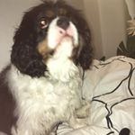 Profile Picture of Astrid_Andersen:/ (@astrid_andersen.dk) on Instagram