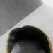 Profile Picture of Aldous Marchadesch (@aldousmarchadesch) on Pinterest