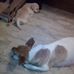 Profile Picture of Giuseppe Visone (@giuseppe.visone.77128) on Facebook