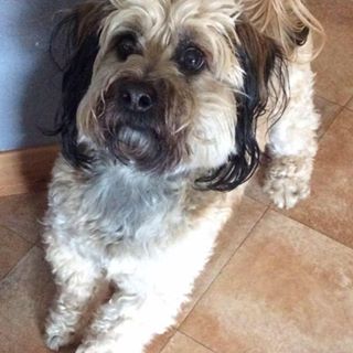 Profile Picture of Jan Keane (@Jan-Keane) on Facebook