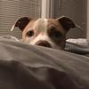 Profile Picture of Heather Singleton (@@featherrae7) on Tiktok