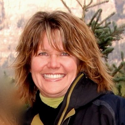 Profile Picture of Diane M. Gibson (@dianemgibson) on Twitter