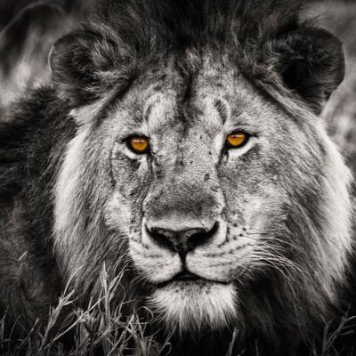 Michal Vladyka - Twitter Profile Picture of Michal Vladyka (@vladykamichal) on Twitter