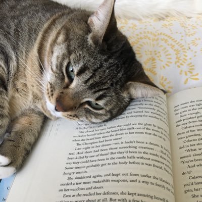 Profile Picture of Bree Martinez (@martinbree4) on Twitter