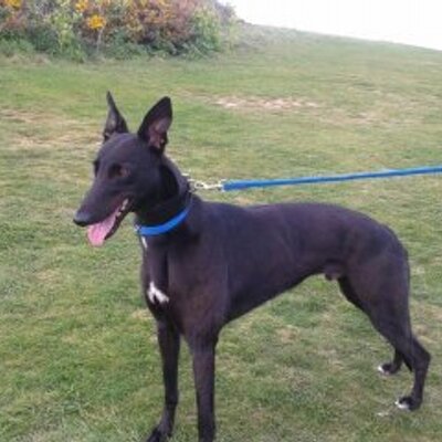 Profile Picture of Terry Money (@Chap62Terry) on Twitter