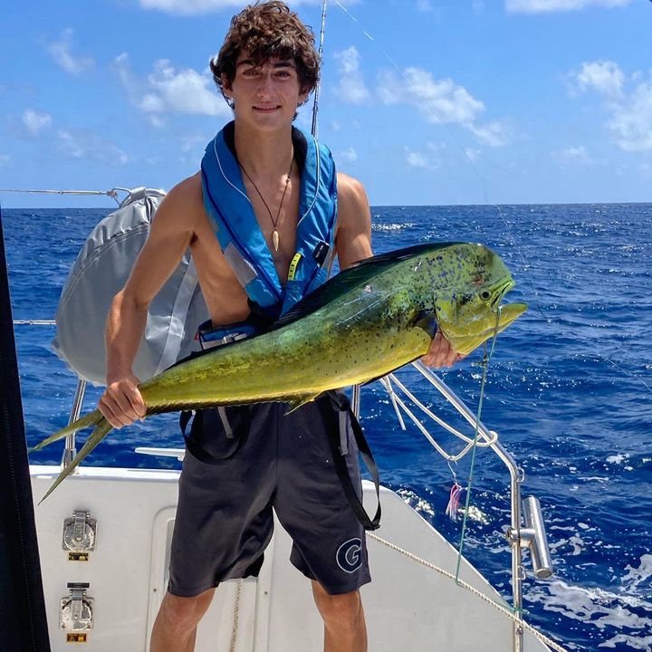 Profile Picture of Michael D'Avena (@michaeldavena) on Tiktok