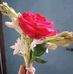 Profile Picture of Surmi Surmi (@surmi.surmi.12764) on Facebook
