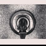 Profile Picture of Paule Assad-Déry (@pauleadery) on Instagram