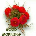 Profile Picture of dawn_school_secrets (@dawn_school_secrets) on Instagram