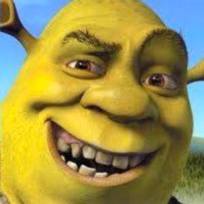 Profile Picture of Shrekgang (@KyleEarley6) on Twitter