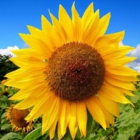 Profile Picture of Austin Llanas (@austin-llanas) on Quora