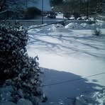 Profile Picture of Kevin Lasiter (@Kevin-Lasiter) on Facebook