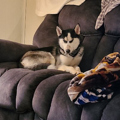 Profile Picture of Chad Barton (@ChadBar67503611) on Twitter