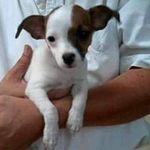 Profile Picture of 송희주 (@8284.ok) on Instagram