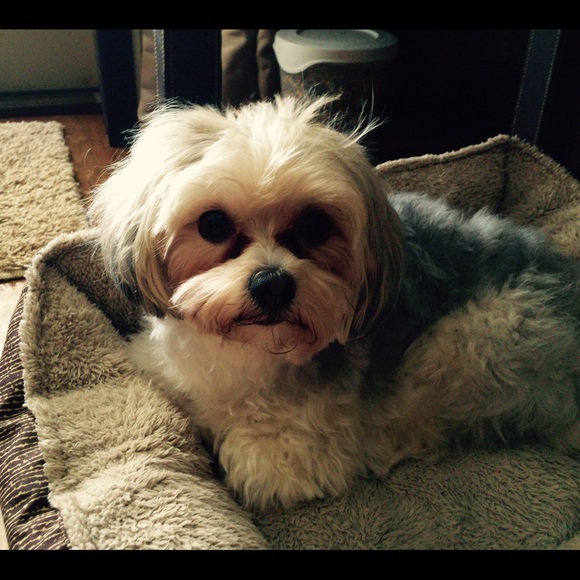 Jackson Haley - Poshmark Profile Picture of Jackson Haley (@jacksonhaley19) on Poshmark