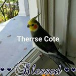 Profile Picture of Therese Cote@gmail.com (@luciennebouthillette22) on Instagram