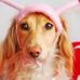 Profile Picture of Angie Gray Lemons (@angie.g.lemons) on Facebook