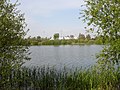 Profile Picture of Conningbrook Lakes Country Parkon Wikipedia