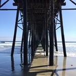 Profile Picture of robertmackay (@robertmackay) on Instagram