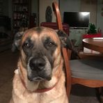 Profile Picture of Joseph Speakman (@joseph.speakman.773) on Facebook