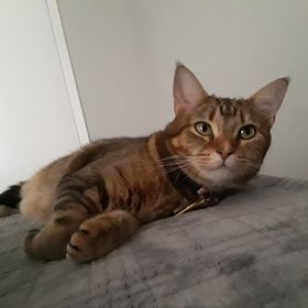 Profile Picture of Haley Gonzalez (@haleygonzalez41) on Pinterest