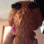 Profile Picture of Matthew ko'malley (@uglydollpopo) on Instagram