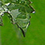 Profile Picture of Seleno.. (@seleno..) on Flickr