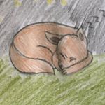 Ava rose Griffith - Instagram Profile Picture of Ava rose Griffith (@ava_griffith1) on Instagram