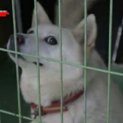 Profile Picture of Richard Luong (@RichardLuong10) on Twitter